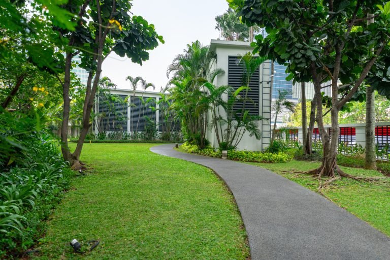 Curved garden path crossing a lawn, framed by mature trees and shrubs