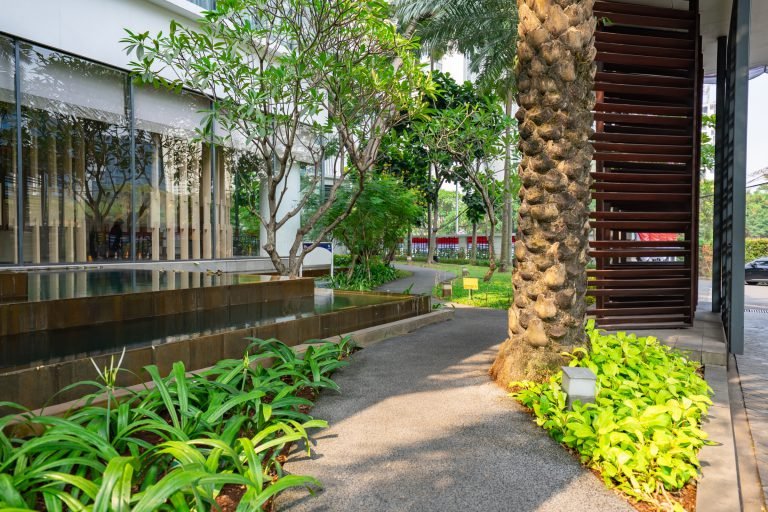 Running track running alongside the building, edged with palms and low planting