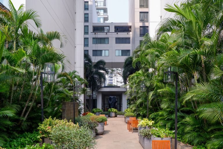Landscaped courtyard between the towers, planted with tall palms and potted shrubs