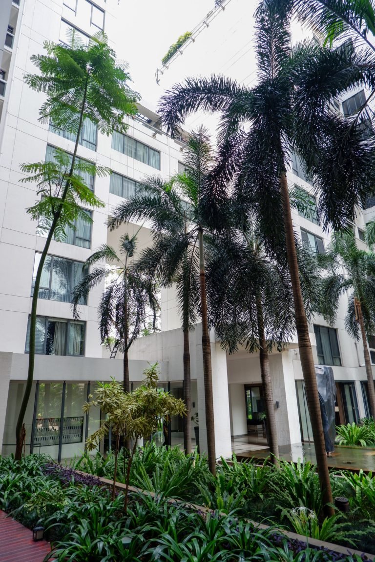 Palm garden beside the tower, with lawn and dense tropical planting