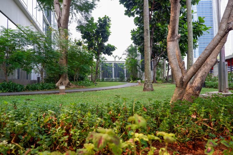 Lawn and mature shade trees in the garden, with the surrounding towers behind