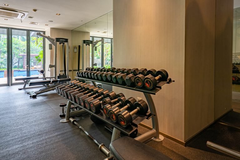 Free-weight area with dumbbell racks, a bench and a cable machine against timber panelling