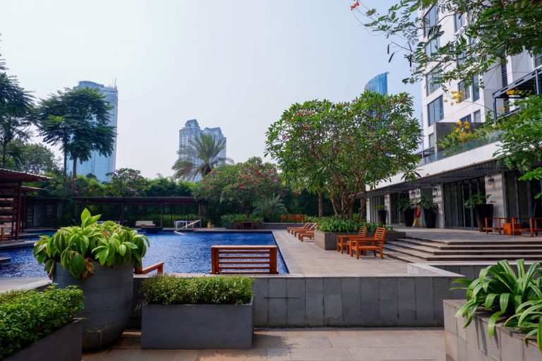 Pool seen past raised planters with tropical shrubs, city buildings rising in the background