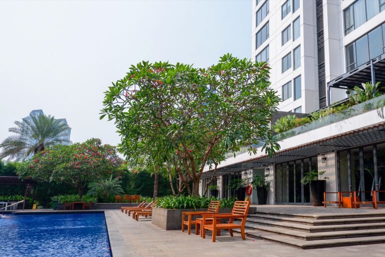 Pool terrace with sun loungers on a paved deck and a frangipani tree overhanging the water